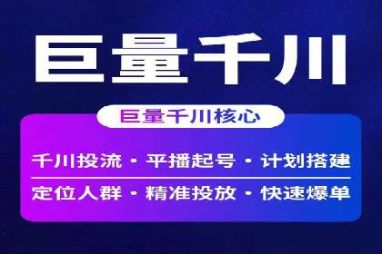 网络推广与竞价策略实战案例
